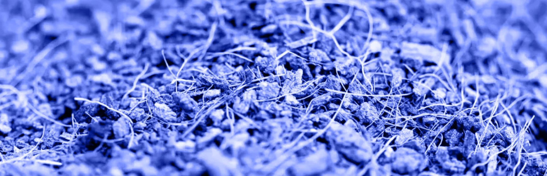 about us breadcrumb hero